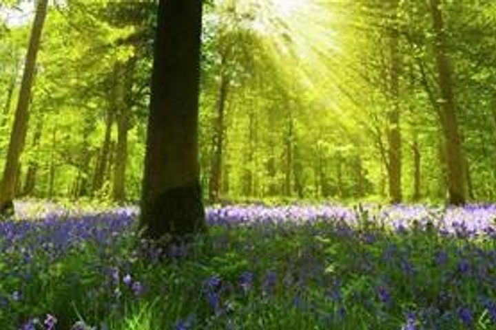Caerphilly Funeral Services Ltd