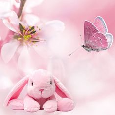 Nancy Christine Humphrey-Wilson