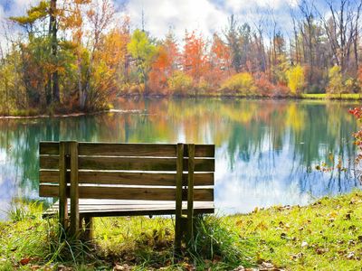 How to dedicate a memorial bench