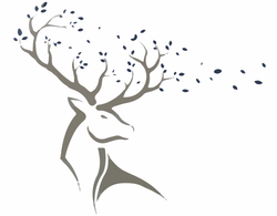New Forest Funerals