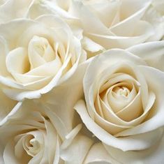 Irene May Barnard