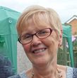 Linda Ann Wells