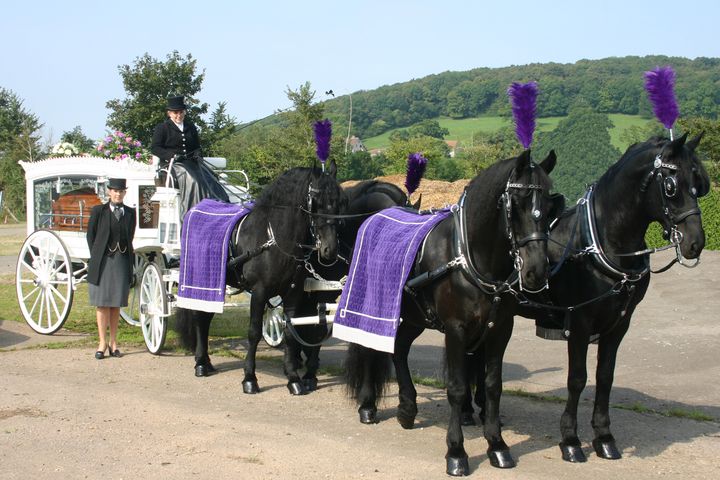 Arthur E Davey & Sons